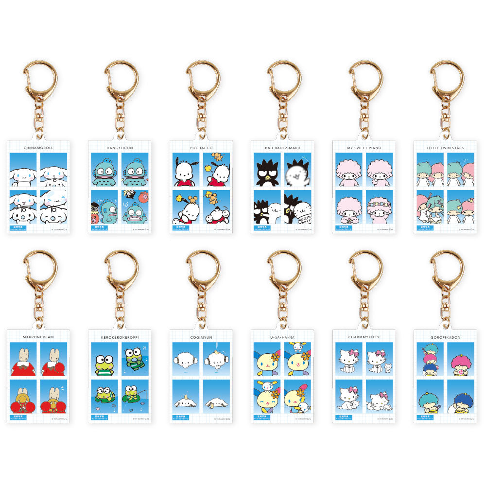 Sanrio Characters 證件相風格 鎖匙扣 盲盒 Trading Photo-Style Keychains Blind Box - TOYZHOLIC