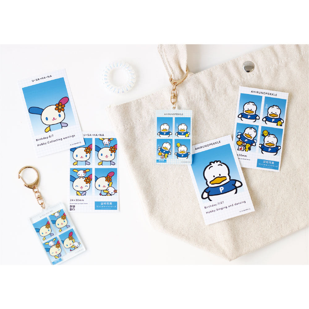 Sanrio Characters 證件相風格 鎖匙扣 盲盒 Trading Photo-Style Keychains Blind Box - TOYZHOLIC
