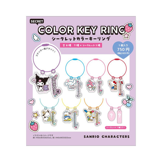 Sanrio Characters Colorful 鐵圈鎖匙扣 盲盒 Wire Key Ring Blind Box （一盒8件，款式隨機) - TOYZHOLIC